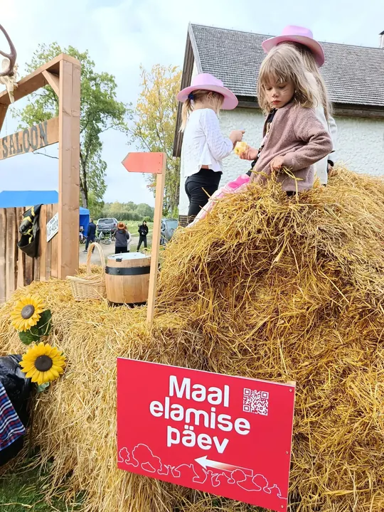 Maal elamise päev ja lapsed heinapallidel