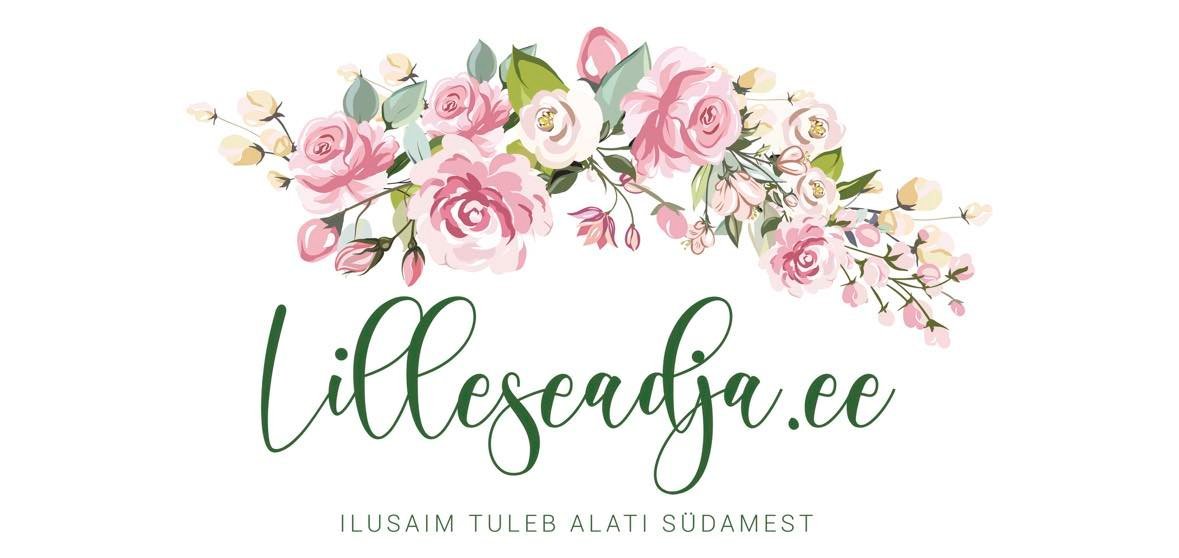Lilleseadja.ee