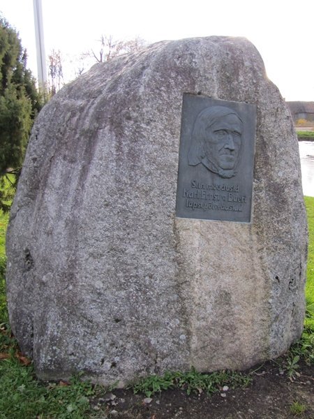 Karl Ernst von Baeri mälestuskivi Lasilas