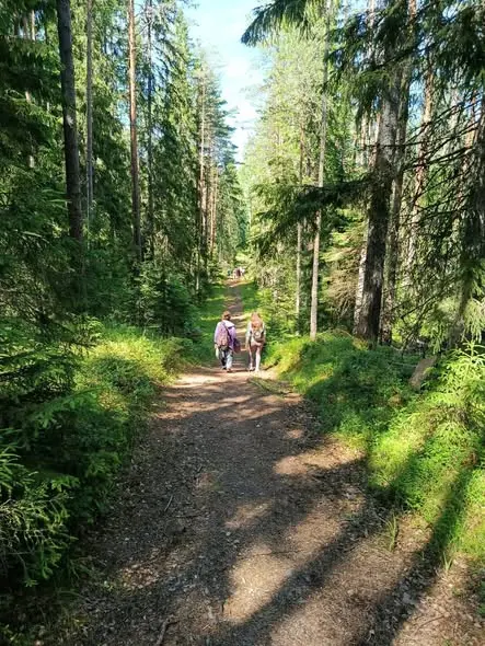 Matkalised Viitna metsarajal