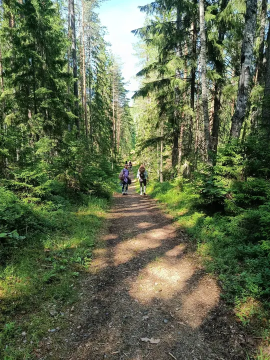 Päikeseline metsarada Viitna järvede ümbruses